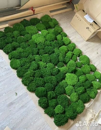 Отличный натуральный мох для декора