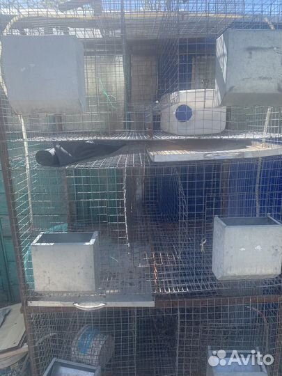 Клетка для птиц