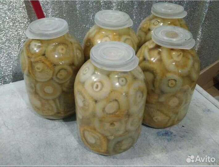 Грибы грузди соленые