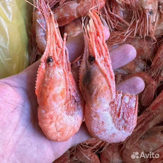 Икра красная, рыба и морепродукты