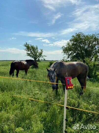 Электропастух Зевс-нано (15дж, 14.000В)