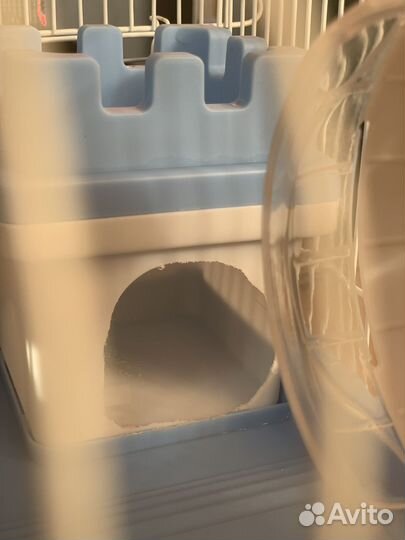 Клетка для грызунов с принадлежностями