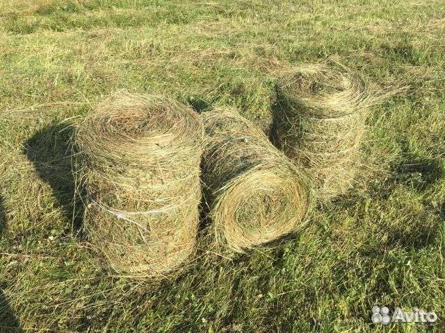Продам сено в рулонах