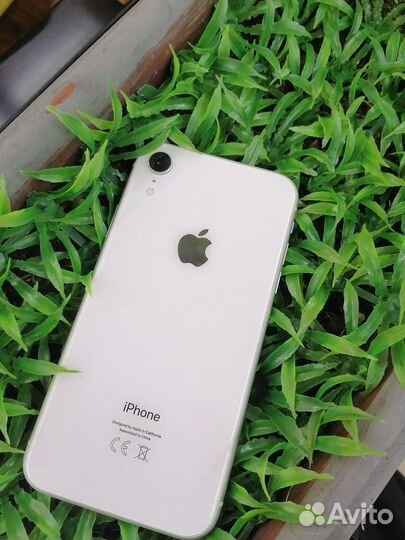 iPhone Xr, 128 ГБ