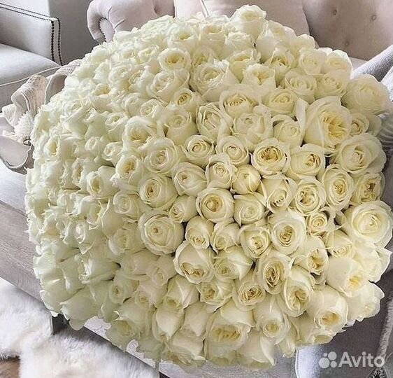 101 Роза Цветы Букеты 51 25 Роз Доставка