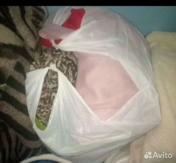 Женская одежда