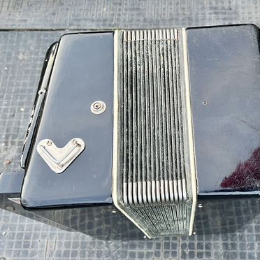 Шуйская гармонь чайка