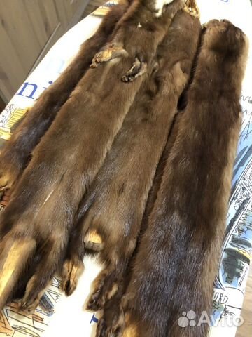 Шкурки норки