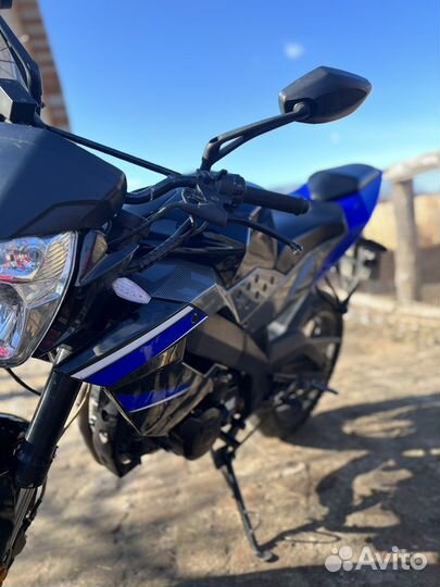 Irbis gr 250
