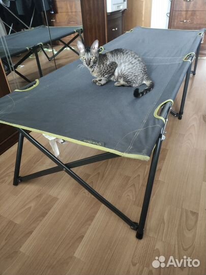 Раскладушка походная Decathlon Quechua L100