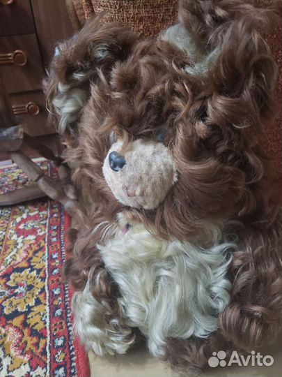 Медведь СССР