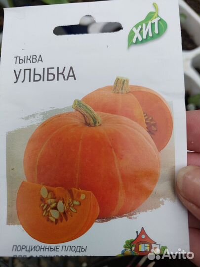 Рассада Арбуза. Дыни. Тыквы