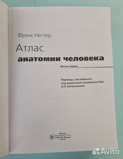 Неттер Атлас анатомии человека