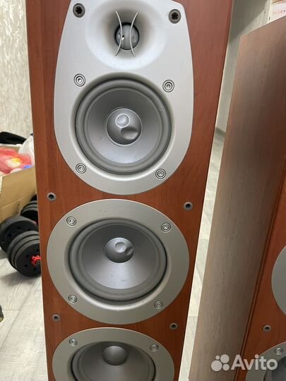 Колонка infinity