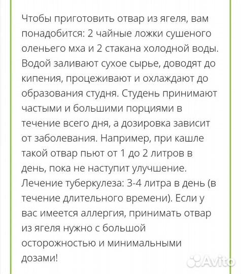 Мох сфагнум, боровой