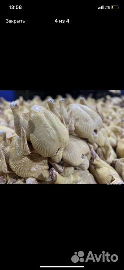 Куры бройлеры тушки мясо