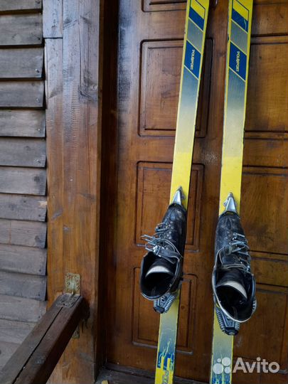 Горные лыжи