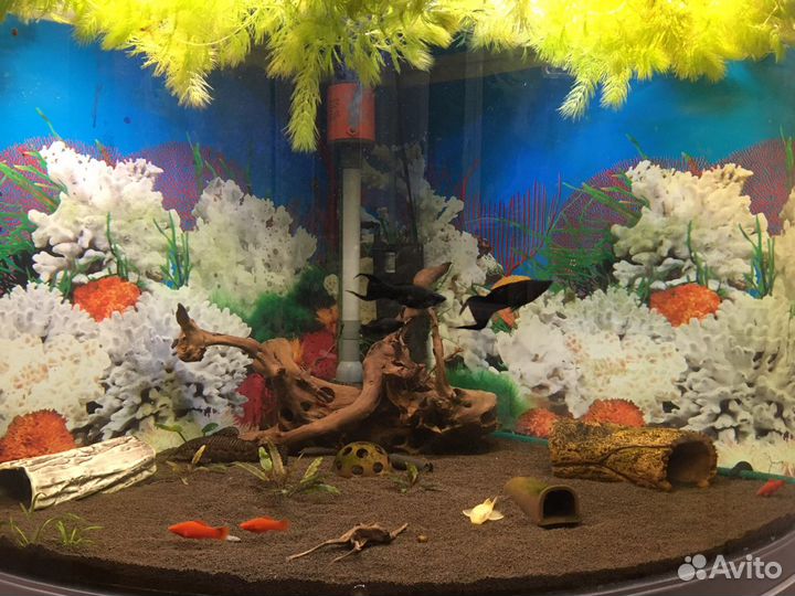 Аквариум jebo r470