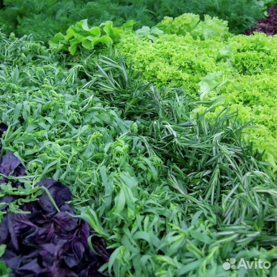 Реализатор на рынок/ продавец