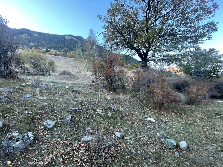 Участок 40 сот. (ИЖС)