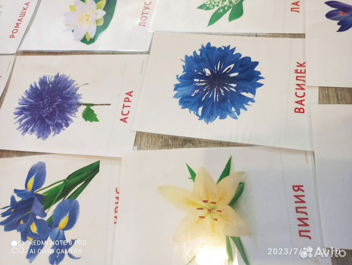 Развивающие карточки по методике Домана