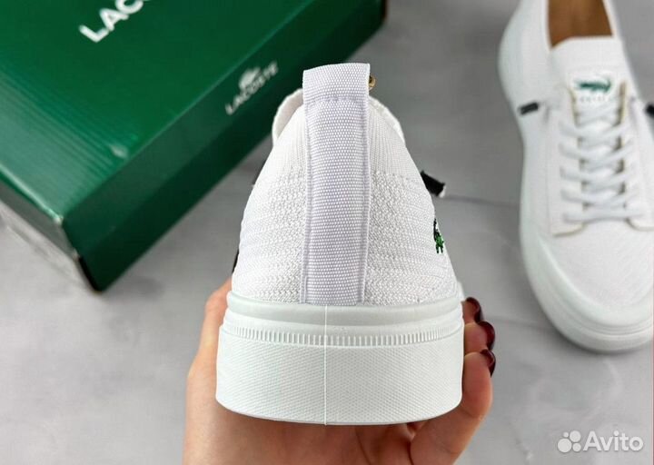 Мужские кеды Lacoste