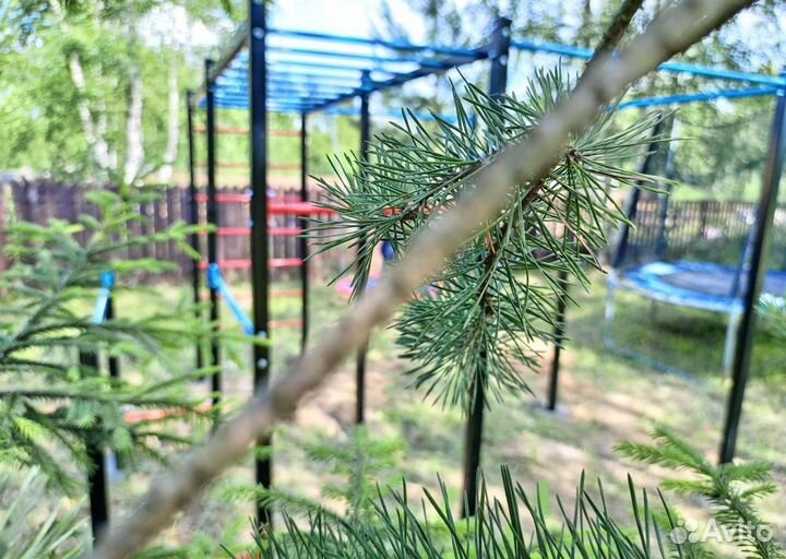 Спортивная площадка воркаут комплекс