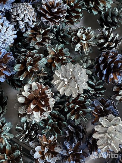 Шишки окрашенные для декора