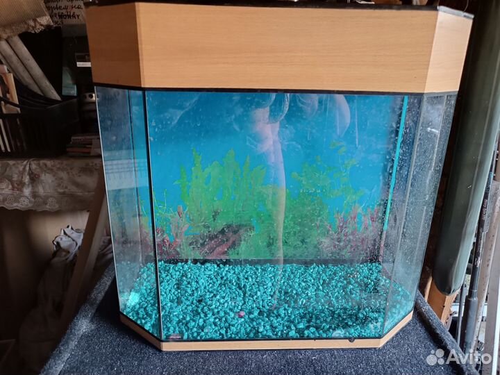 Аквариум