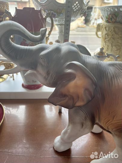 Фарфоровый слон