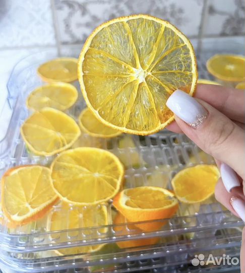 Сушилка для овощей и фруктов