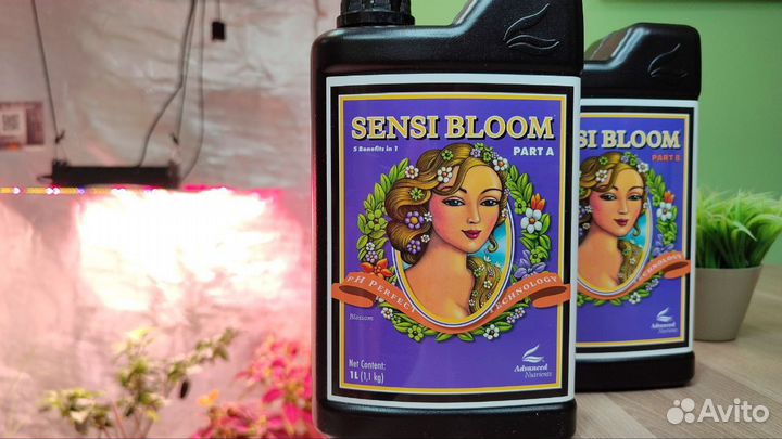 Удобрение Sensi Bloom A+B