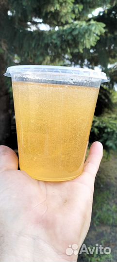 Мёд акация 2024г