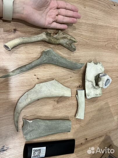 Лакомства для собак, Рога северного оленя