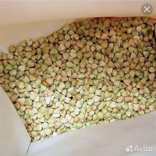 Зерноотходы (гречка)