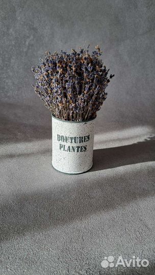 Кашпо с лавандой
