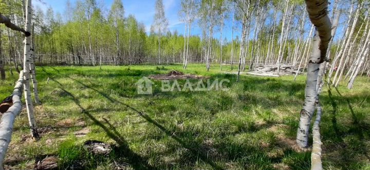 Участок 15 сот. (ИЖС)