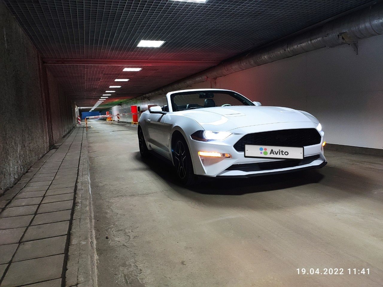 Ford Mustang: фото владельца