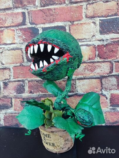 Цветок монстр