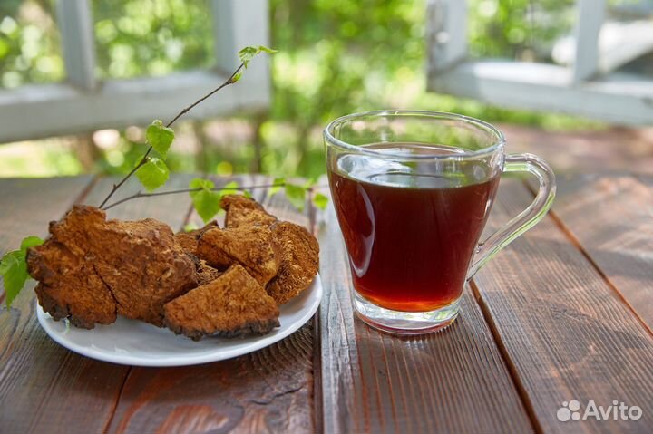 Чага кусковая, молотая, дроблёная и чёрная