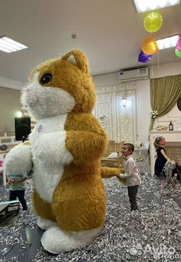 Мишка Тедди/Аниматоры/Кот Мурсель/Ростовые куклы