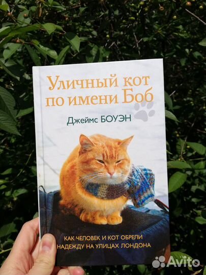 Джеймс Боуэн 