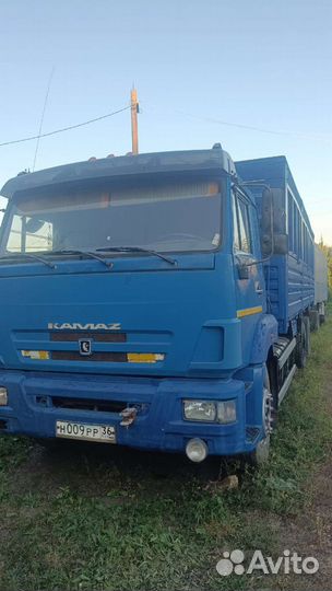 КамАЗ 65117, 2010