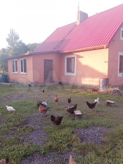 Дом 76 м² на участке 82 сот.