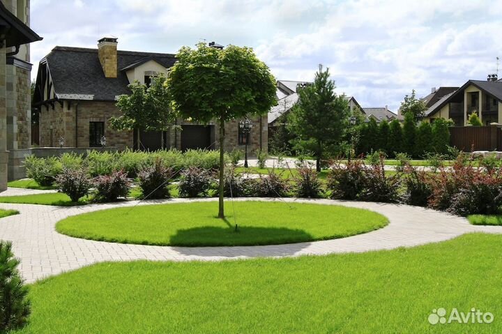 Рулонный газон