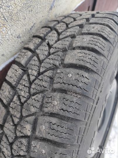 Tigar Sigura Stud 185/65 R15