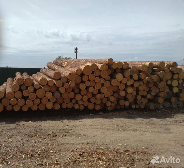 Лес кругляк строевой