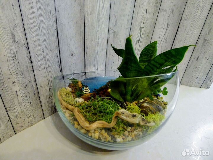 Композиция 