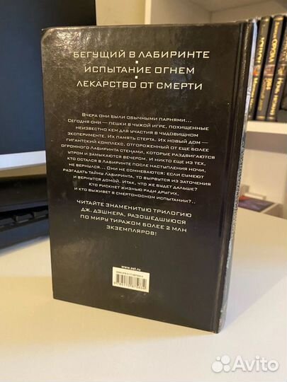 Бегущий в лабиринте