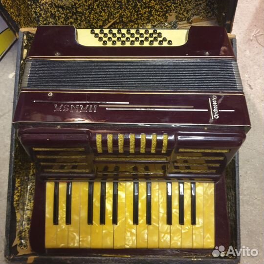 Аккордеон редкий